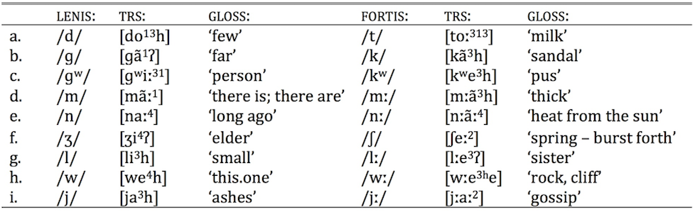 Consonants International Journal Of American Linguistics